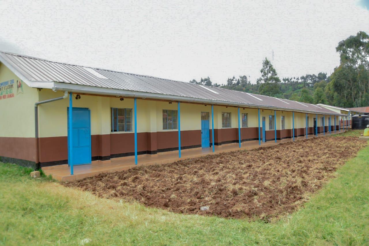 WhatsApp Image 2025-08-19 at 8.19.41 PM (1)